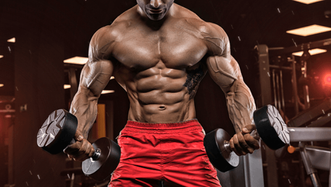 bulking steroids vs cutting