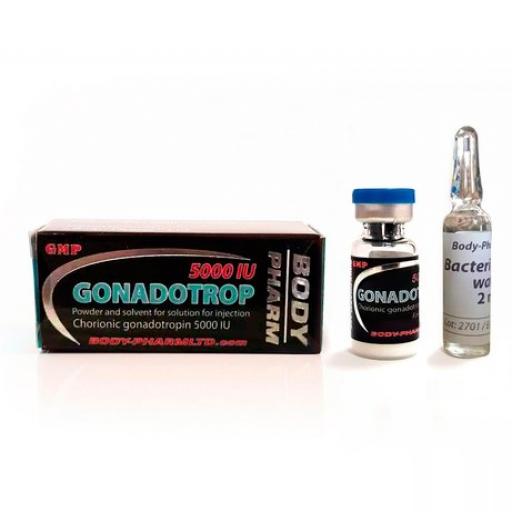 Gonadotropin 5000 IU (BodyPharm) for Sale