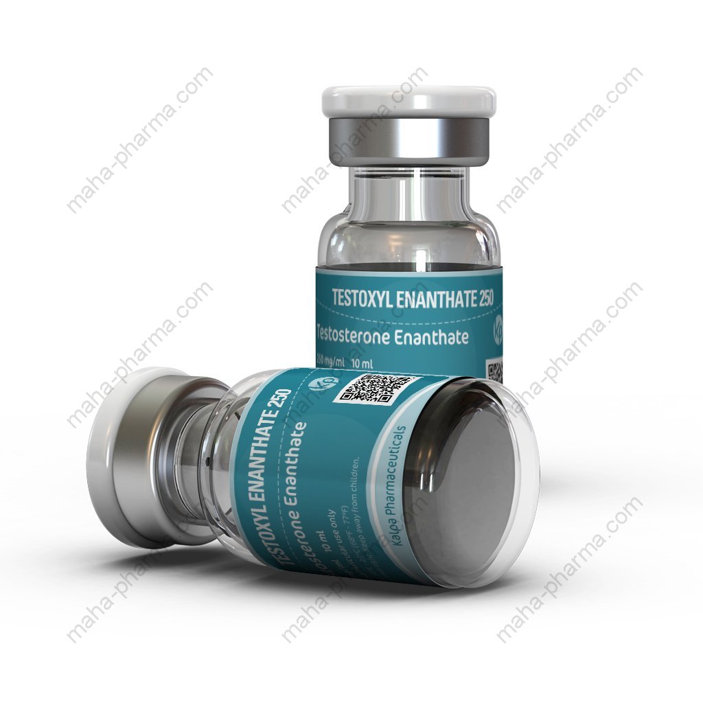 Testoxyl Enanthate 250