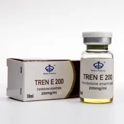 Tren E 200